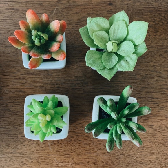 Urban Outfitters Other - 4 Urban Outfitters Faux Succulents